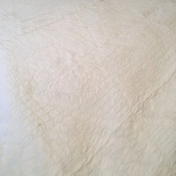 Antique Hand Quilted Flower Garden Quilt - Picture 6 of 8